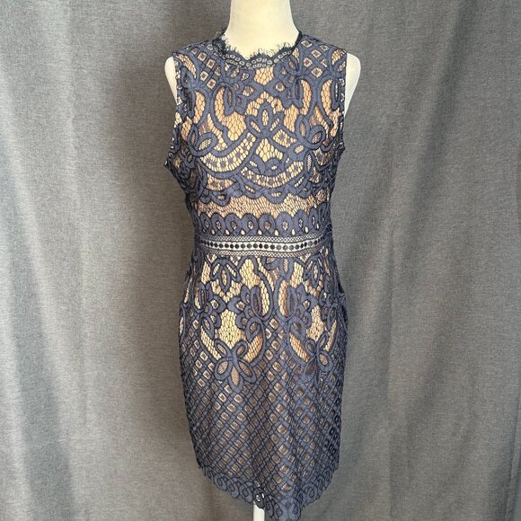 Francescas Mi Ami Dress Womens M Blue Lace Bodycon Zipper Back Elegant Details - Picture 3 of 10